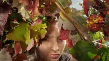 Задник к фильму "Огненный ветер" #923392