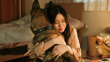 Задник к фильму "少年と犬" #671603