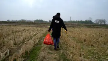 Задник к фильму "青春（归）" #928009
