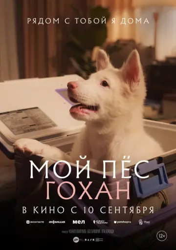 Мой бродячий пес постер
