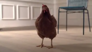 Задник к фильму "L’occhio della Gallina" #882208