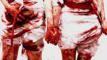 Задник к фильму "2 Girls 1 Gut" #882093