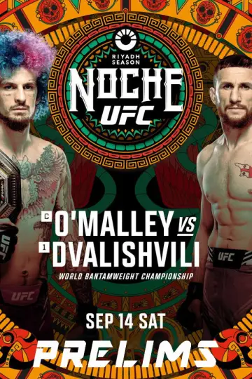 Постер к фильму "UFC 306: O
