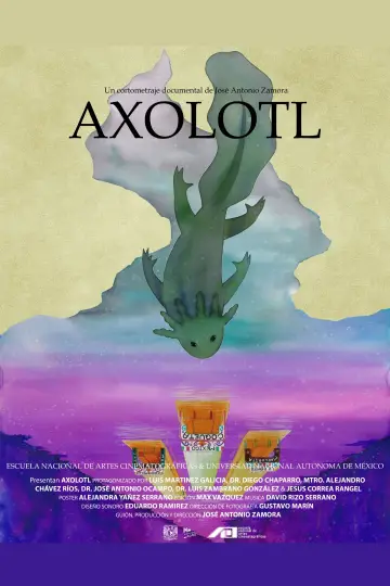 Axolotl постер