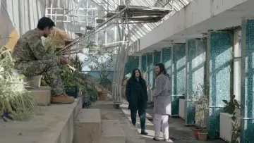 Задник к фильму "Nu mă lăsa să mor" #1141135