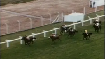 Задник к фильму "Punters" #743743
