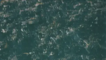 Задник к фильму "More Beautiful Than Death" #1195977