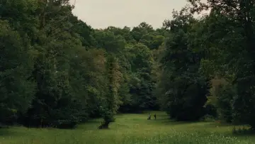 Задник к фильму "Henry