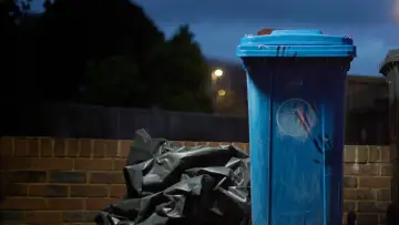 Задник к фильму "Body in the Bin: The Murder of Louise Kam" #942641