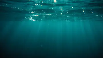 Задник к фильму "At Sea" #786894
