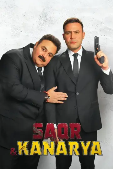 صقر وكناريا постер