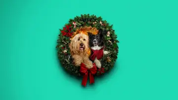 Задник к фильму "Happy Howlidays" #931397