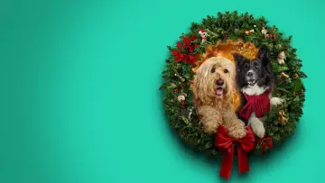 Задник к фильму "Happy Howlidays" #931399