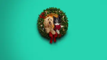 Задник к фильму "Happy Howlidays" #931400