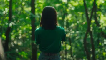 Задник к фильму "여름의 카메라" #829889