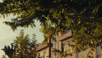 Задник к фильму "여름의 카메라" #830137