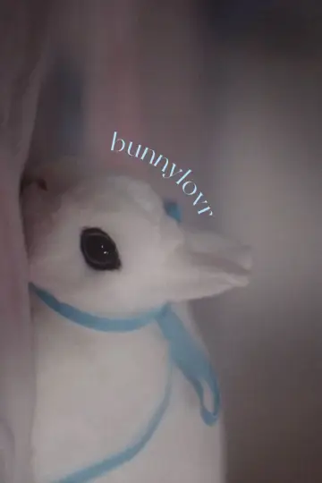 Постер к фильму "Bunnylovr" #1210652