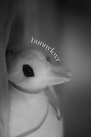 Постер к фильму "Bunnylovr" #1210653