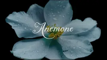 Задник к фильму "Анемона" #518915