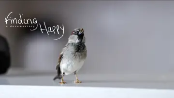Задник к фильму "Finding Happy" #1574878