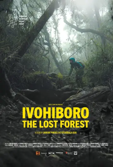 Постер к фильму "Ivohiboro: La Forêt Oubliée" #1141706