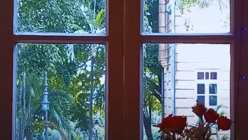 Задник к фильму "Os Encontros" #1183491