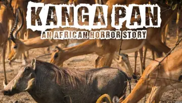 Задник к фильму "Disparitions autour du Kanga Pan" #1157656