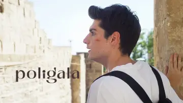 Задник к фильму "Poligala" #1184519
