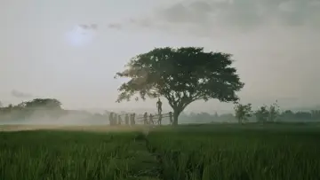 Задник к фильму "Lobang Buaya, 309 Hari Sebelum Tragedi Berdarah" #536791