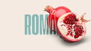 Задник к фильму "Romã" #1193983