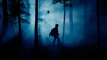 Задник к фильму "The Wildman of Shaggy Creek" #630950