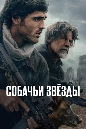 Собачьи звёзды постер