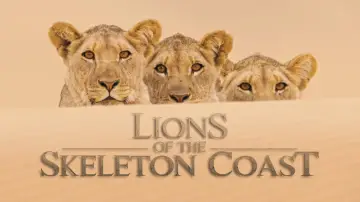 Задник к фильму "Lions of the Skeleton Coast" #880744