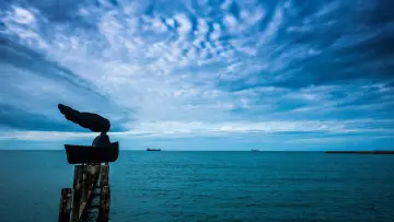 Задник к фильму "A Mulher Barco" #920002