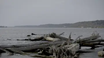 Задник к фильму "Smallpox Island" #965246
