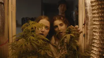 Задник к фильму "Verano Trippin" #698066