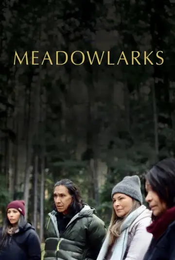 Meadowlarks постер