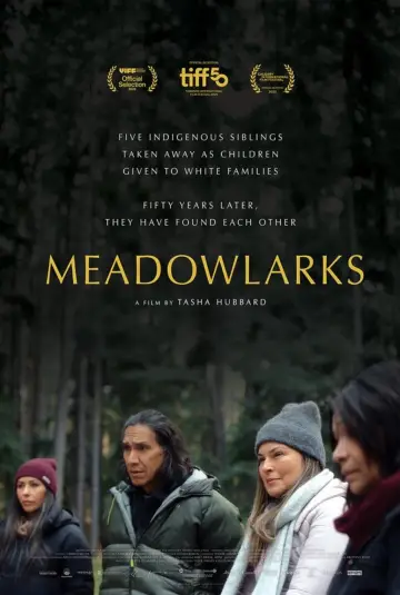 Постер к фильму "Meadowlarks" #623416
