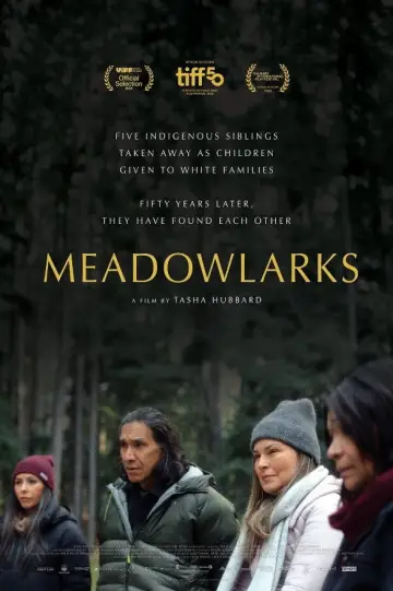 Постер к фильму "Meadowlarks" #623420