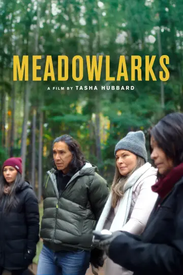 Постер к фильму "Meadowlarks" #623421