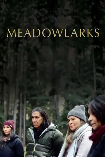 Постер к фильму "Meadowlarks" #842463