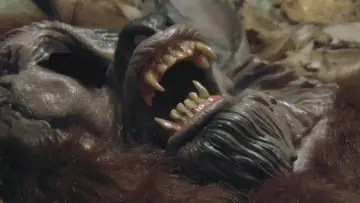 Задник к фильму "Dogman" #1081540