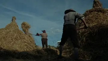 Задник к фильму "Завещание Анны Ли" #796108