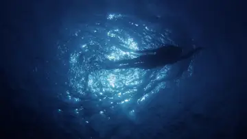 Les dents de la mer, un succès monstre постер