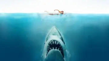 Задник к фильму "Les dents de la mer, un succès monstre" #920276