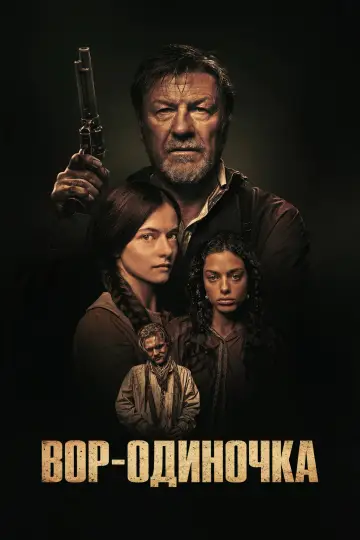 Постер к фильму "Вор-одиночка" #1212027