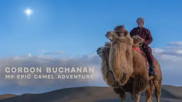 Задник к фильму "My Epic Camel Adventure With Gordon Buchanan" #982004