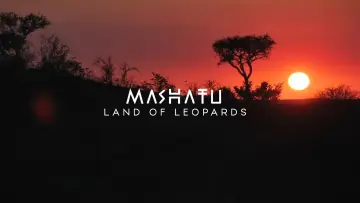 Задник к фильму "Mashatu: Land of Leopards" #1629371