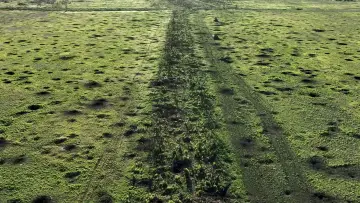 Задник к фильму "2000 Meters to Andriivka" #539424