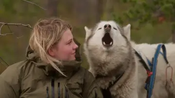 Задник к фильму "Folktales" #536100